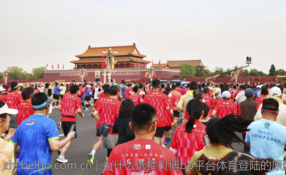 为什么选择贝博bb平台体育登陆的原因分析